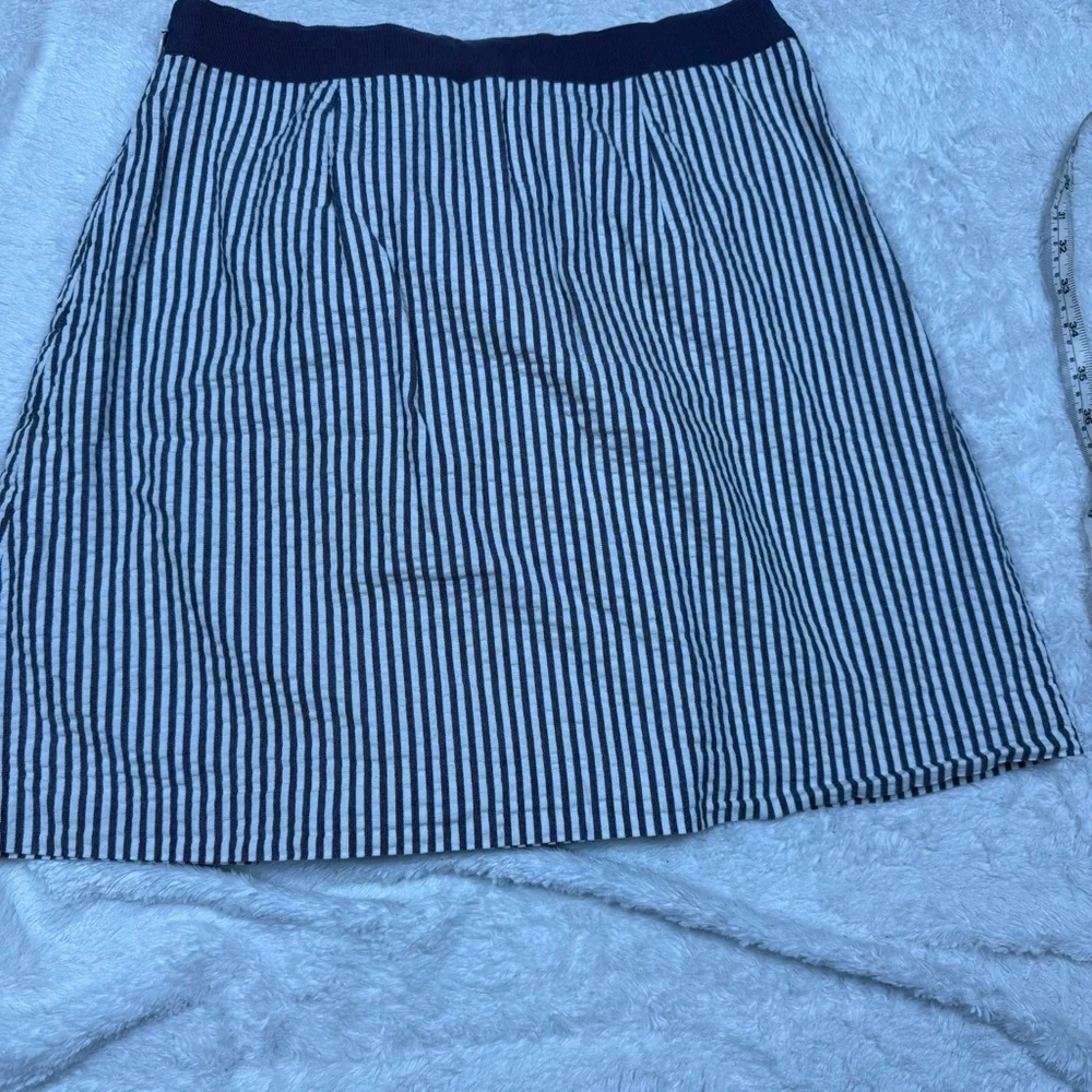 Banana Republic stylish mini